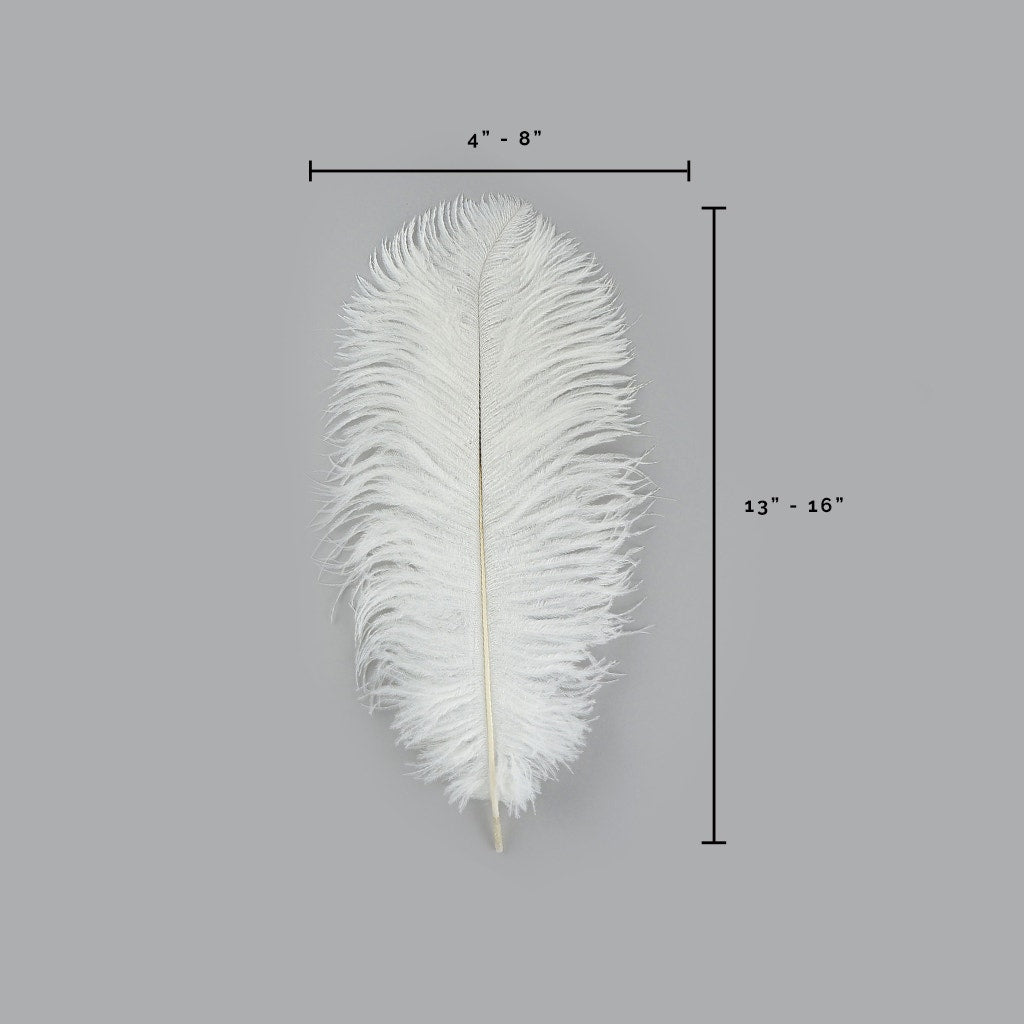 Ostrich Feathers 13-16’’ Drabs - White - Ostrich Feathers