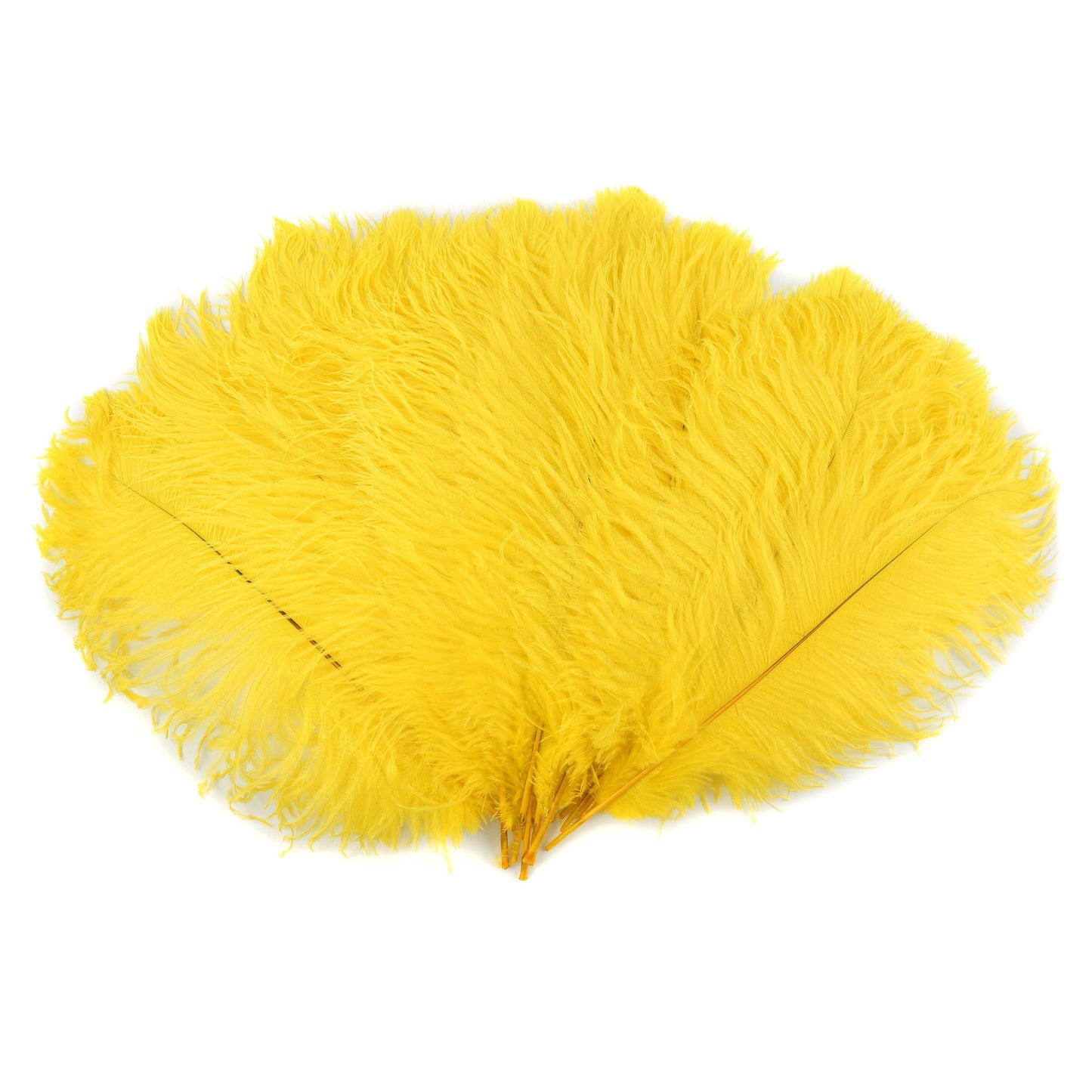 Ostrich Feathers 13-16’’ Drabs - Yellow - 12 pieces - Ostrich Feathers