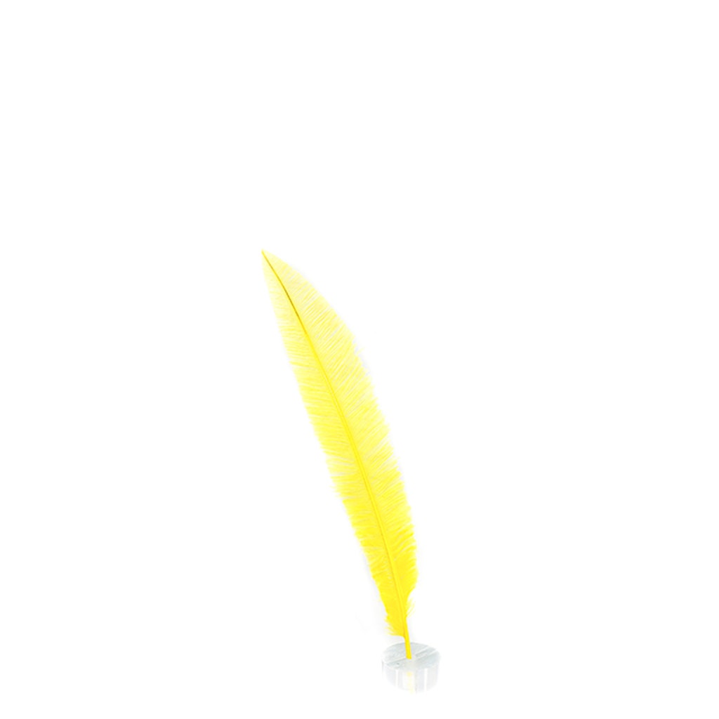 Ostrich Feathers - 13-24’’ Nandus - Fluorescent Yellow - 3 pieces - Ostrich Feathers