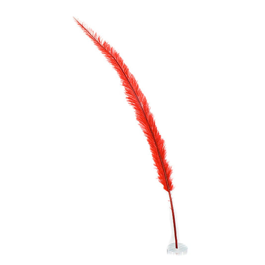 Ostrich Feathers - 13-24’’ Nandus - Red - Ostrich Feathers