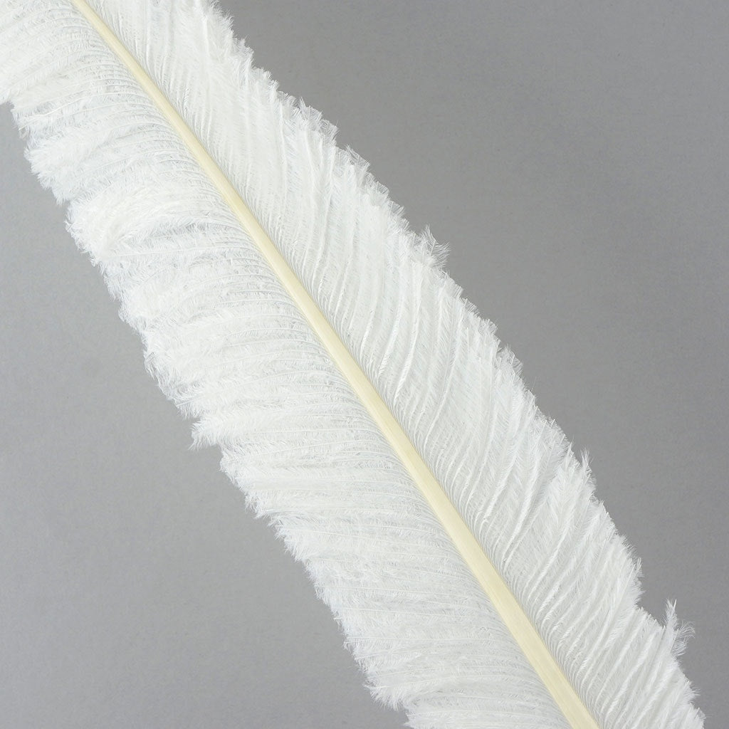 Ostrich Feathers - 13-24’’ Nandus - White - 12 pieces - Ostrich Feathers