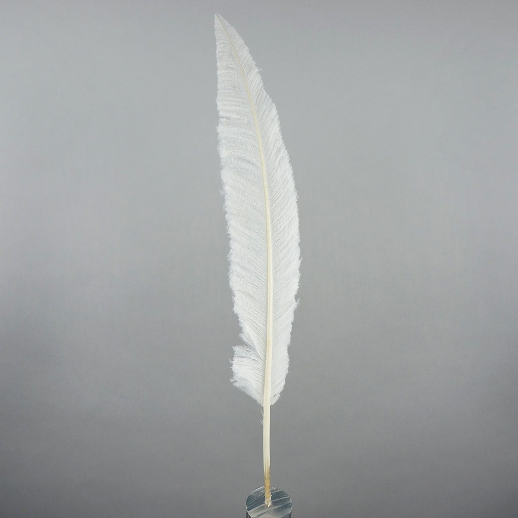 Ostrich Feathers - 13-24’’ Nandus - White - Ostrich Feathers