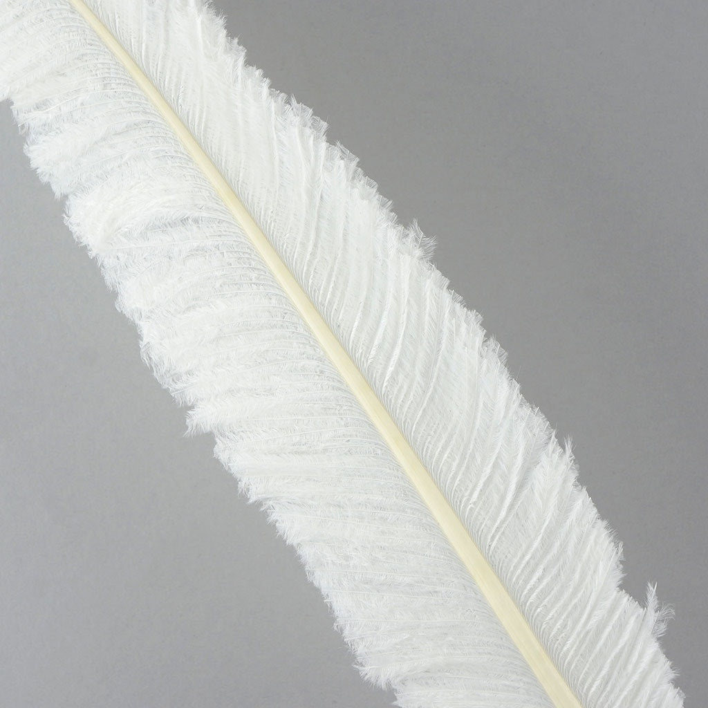 Ostrich Feathers - 13-24’’ Nandus - White - Ostrich Feathers