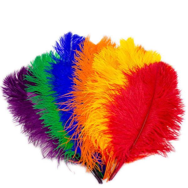 Rainbow Ostrich Feathers Long Ostrich Tail Feathers - Rainbow Feathers ...