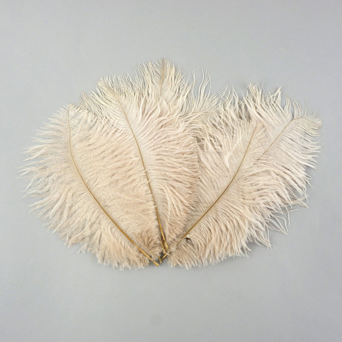 Ostrich Feathers 4-8’’ Drabs - Beige - 1/4 lb. bulk - Ostrich Feathers