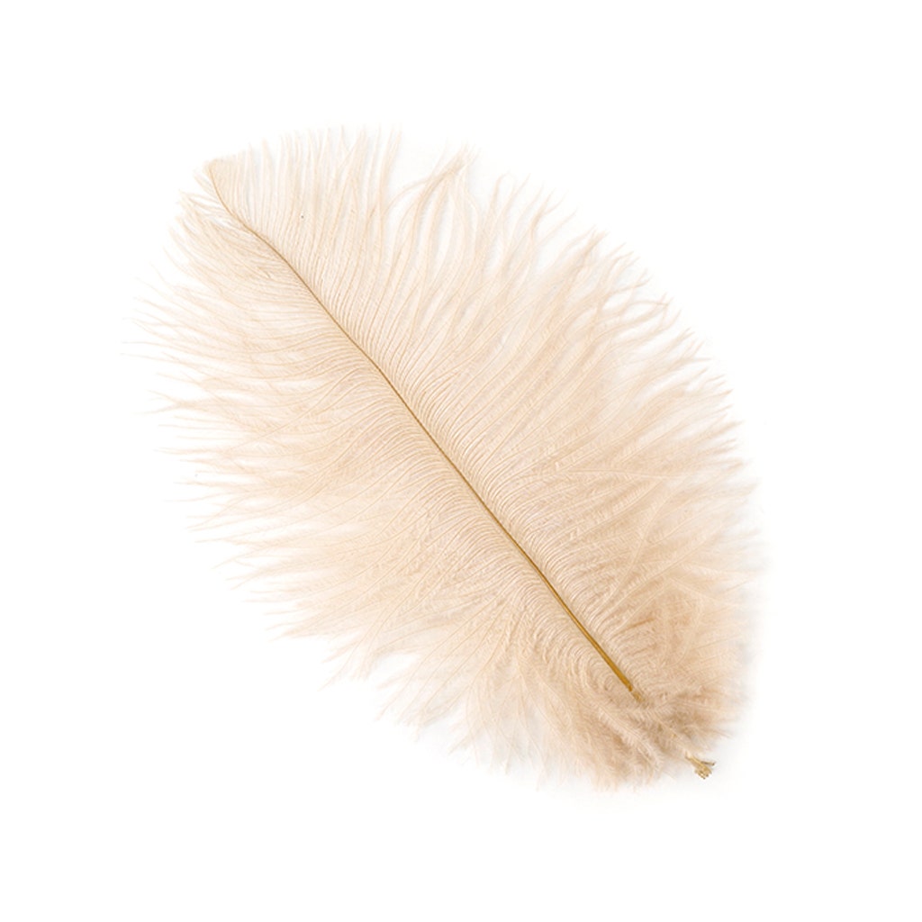 Ostrich Feathers 4-8’’ Drabs - Beige - 2 pieces - Ostrich Feathers