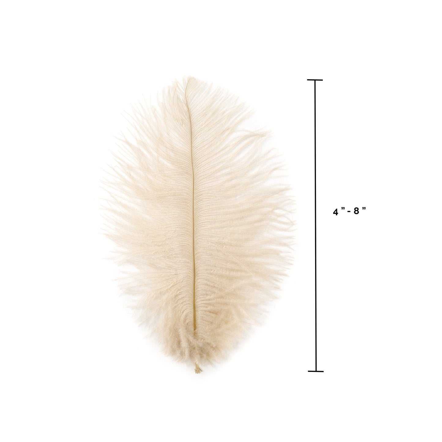 Ostrich Feathers 4-8’’ Drabs - Beige - Ostrich Feathers