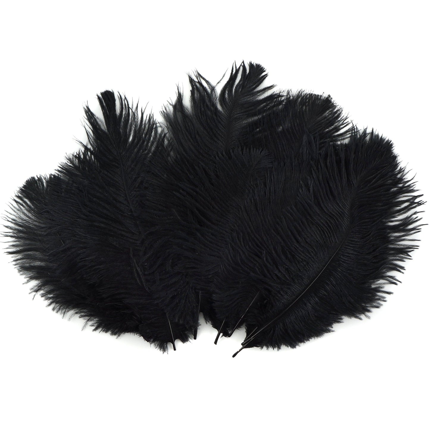 Ostrich Feathers 4-8’’ Drabs - Black - 1/4 lb. bulk - Ostrich Feathers