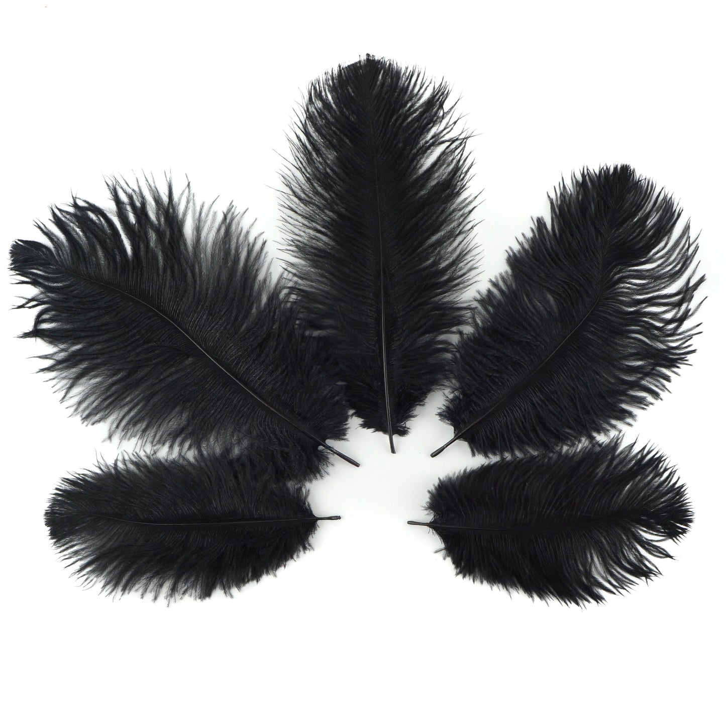 Ostrich Feathers 4-8’’ Drabs - Black - 12 pieces - Ostrich Feathers