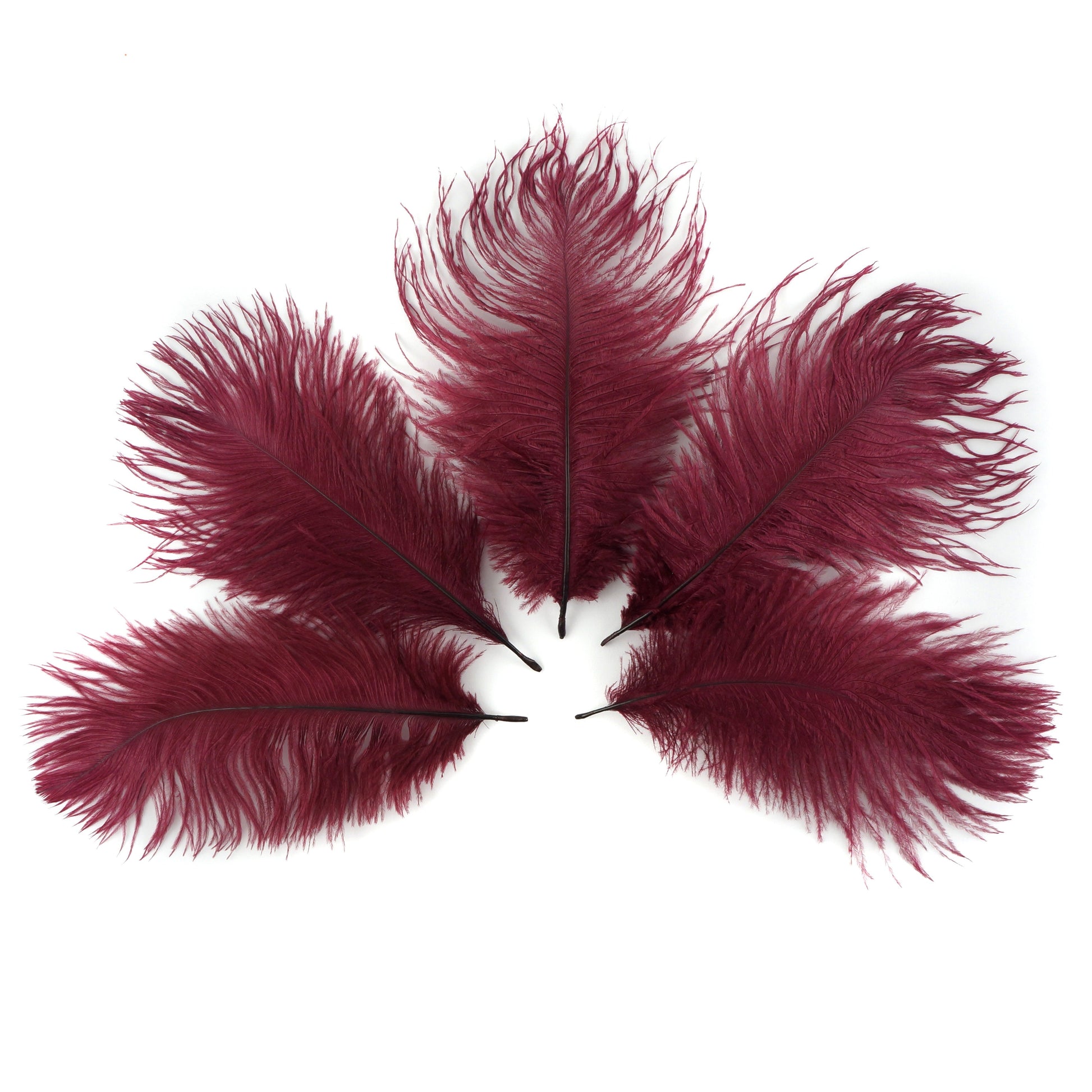 Ostrich Feathers 4-8’’ Drabs - Burgundy - 12 pieces - Ostrich Feathers