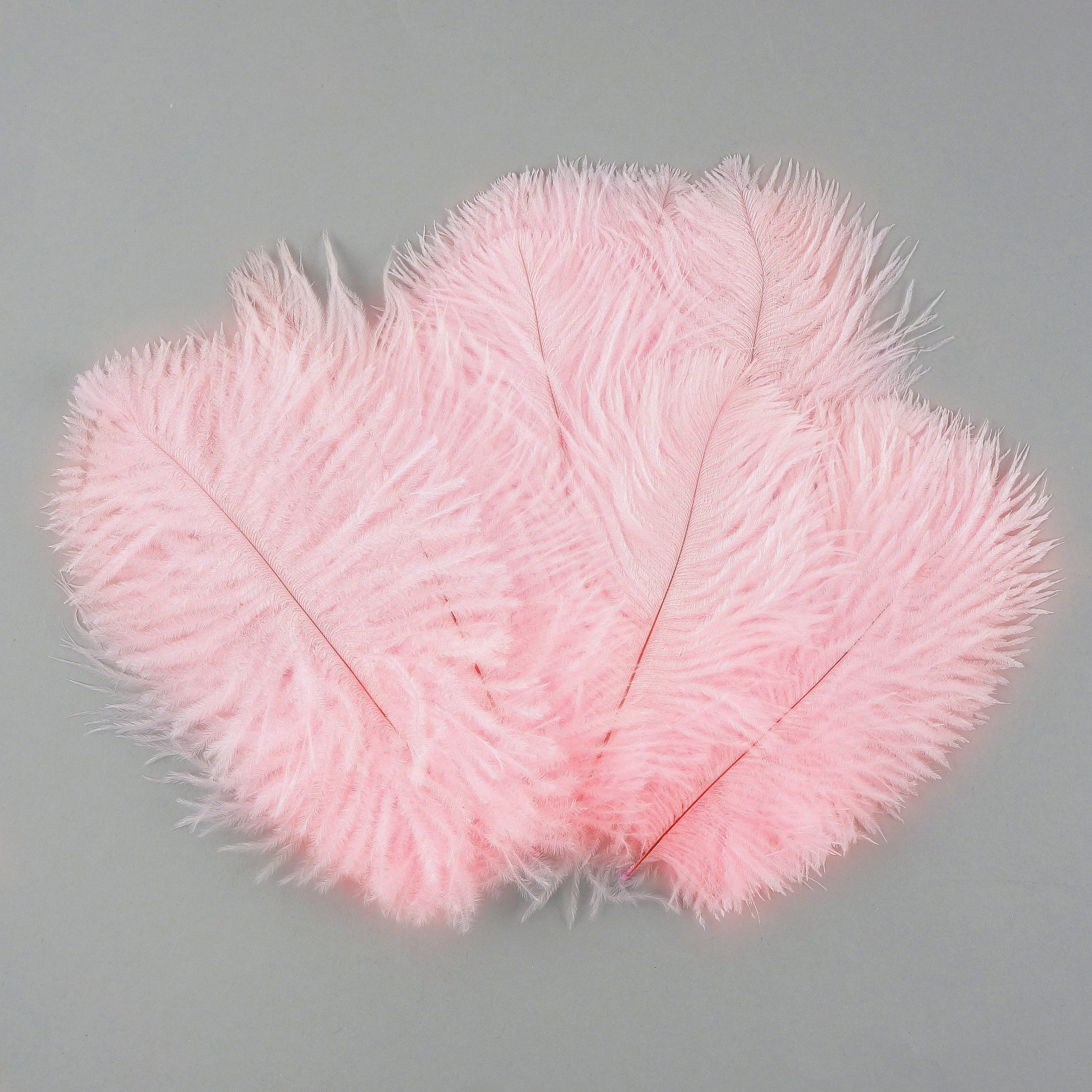 Ostrich Feathers 4-8’’ Drabs - Candy Pink - 12 pieces - Ostrich Feathers