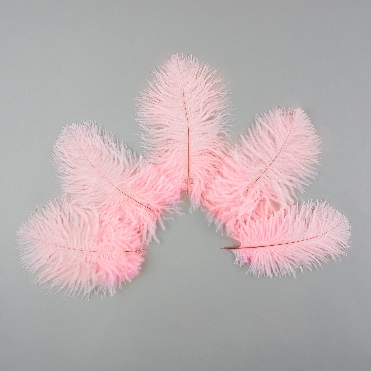 Ostrich Feathers 4-8’’ Drabs - Candy Pink - Ostrich Feathers