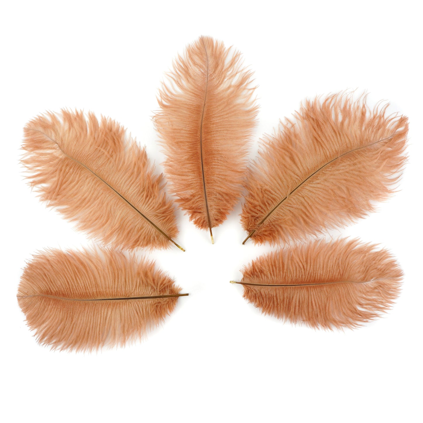 Ostrich Feathers 4-8’’ Drabs - Cinnamon - 12 pieces - Ostrich Feathers