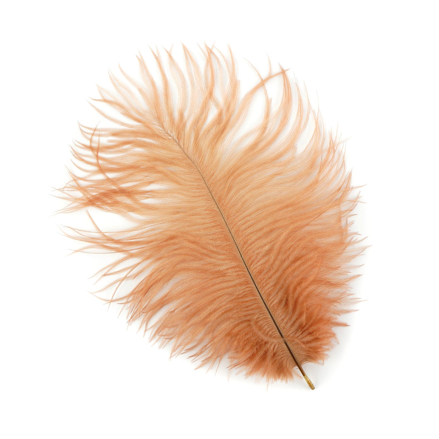 Ostrich Feathers 4-8’’ Drabs - Cinnamon - 2 pieces - Ostrich Feathers