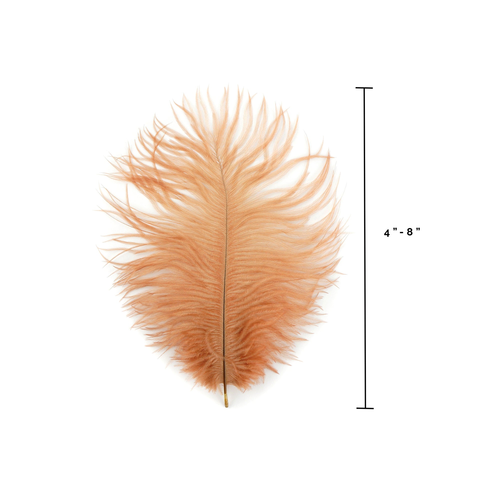 Ostrich Feathers 4-8’’ Drabs - Cinnamon - Ostrich Feathers