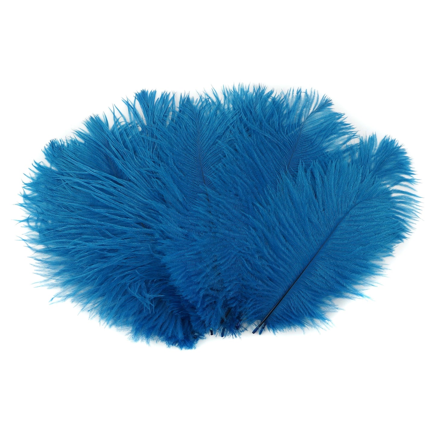 Ostrich Feathers 4-8’’ Drabs - Dark Turquoise - 1/4 lb. bulk - Ostrich Feathers