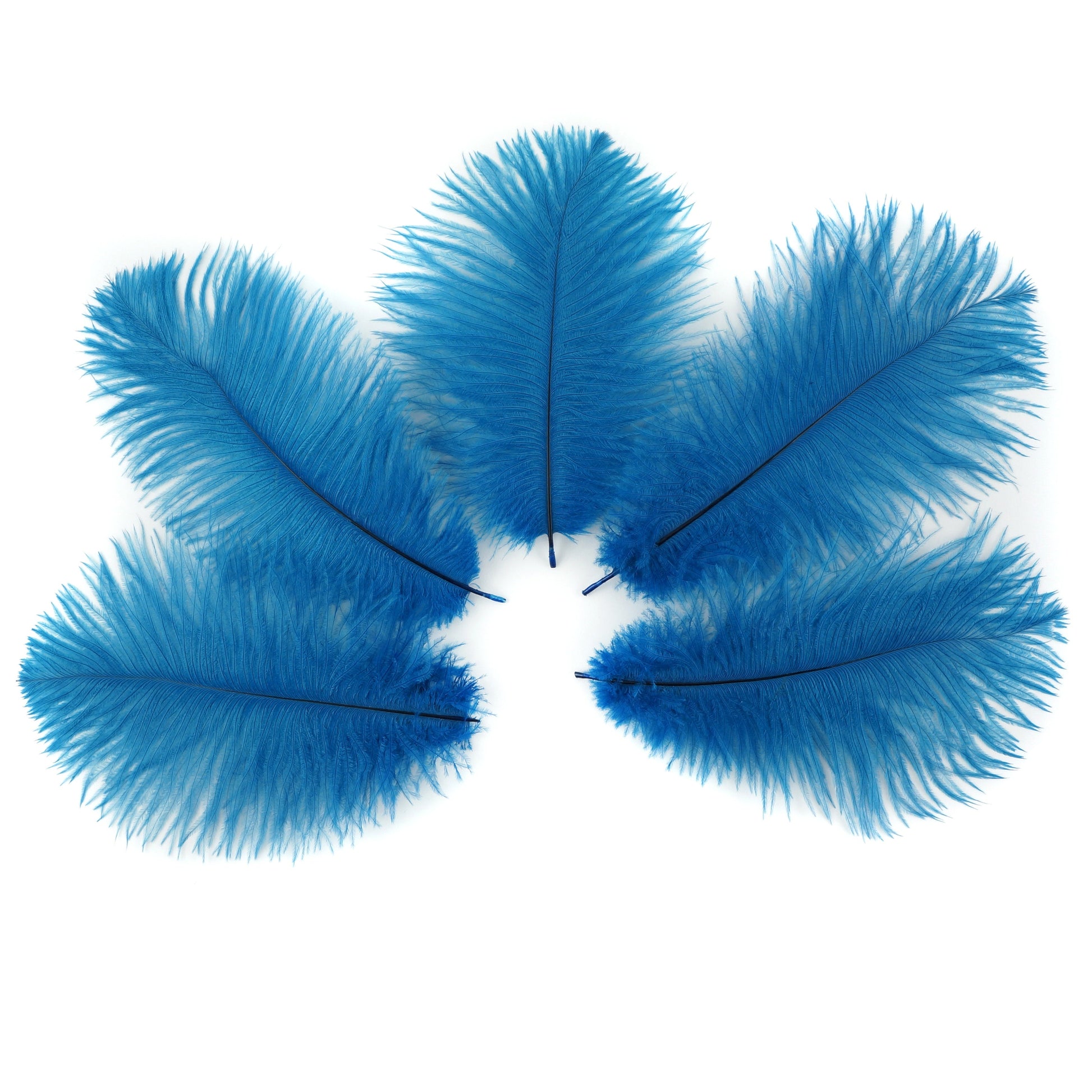 Ostrich Feathers 4-8’’ Drabs - Dark Turquoise - 12 pieces - Ostrich Feathers