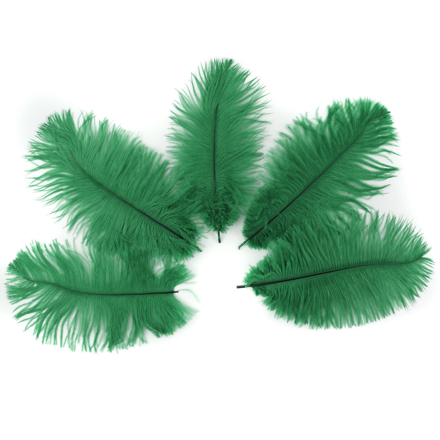 Ostrich Feathers 4-8’’ Drabs - Emerald - 12 pieces - Ostrich Feathers