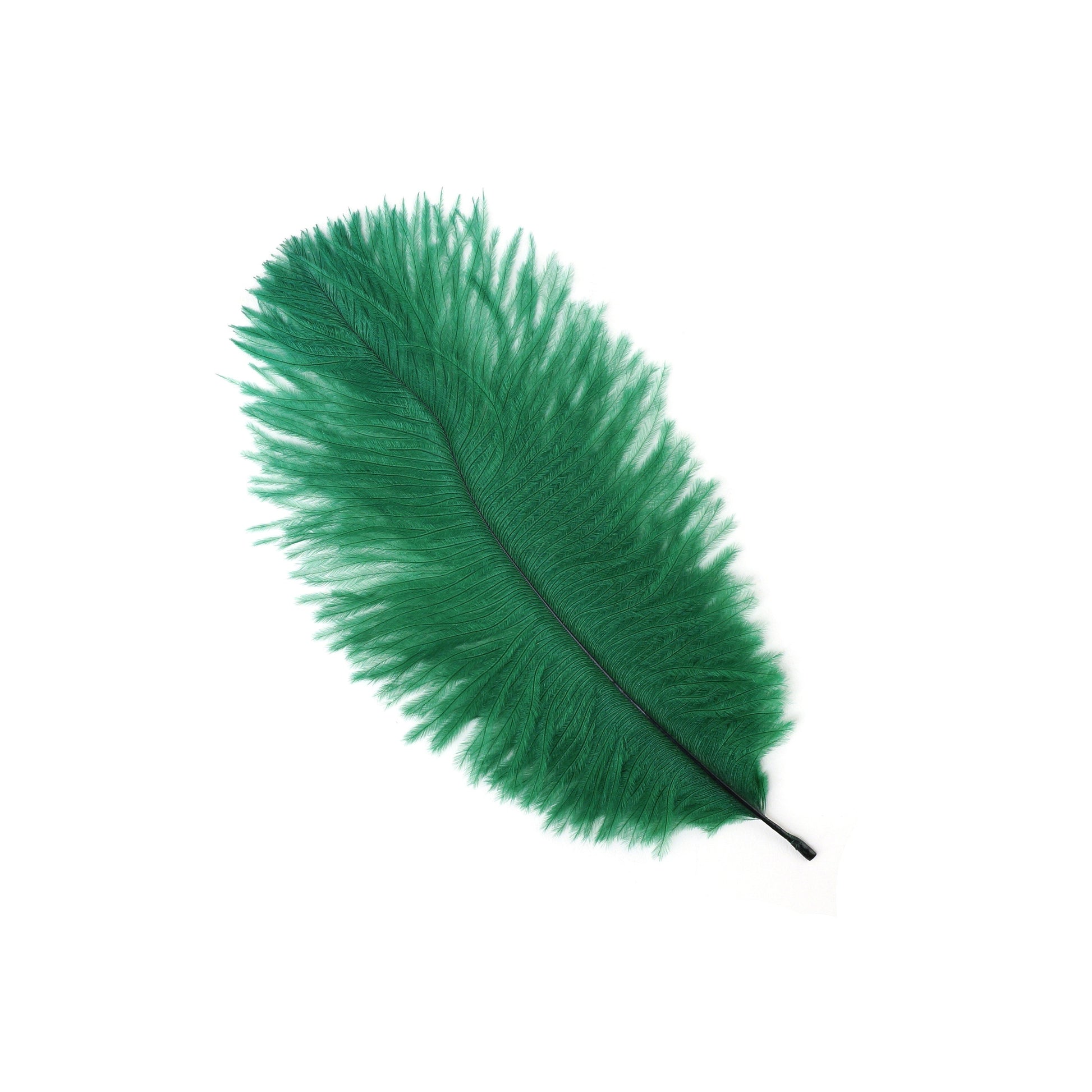 Ostrich Feathers 4-8’’ Drabs - Emerald - 2 pieces - Ostrich Feathers