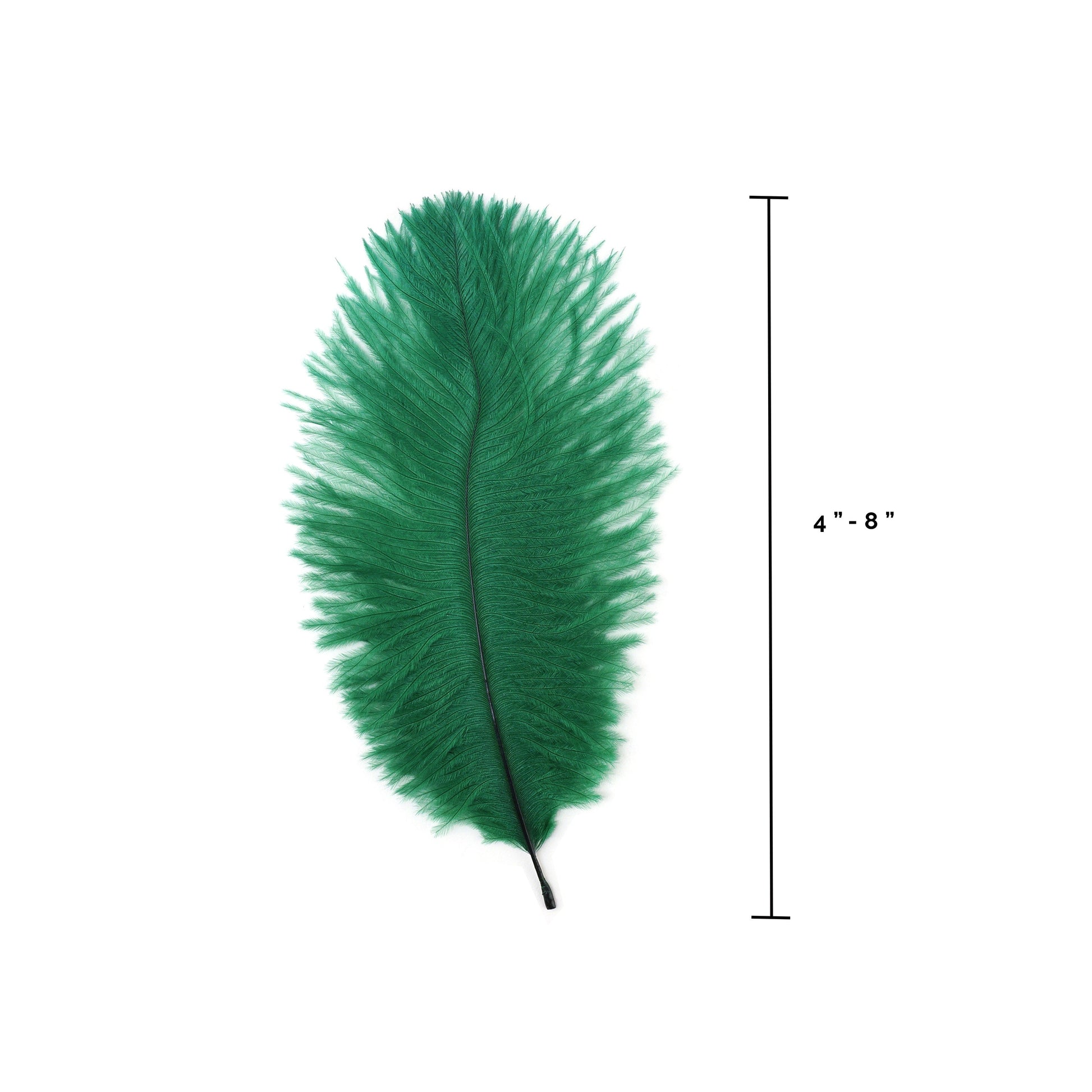 Ostrich Feathers 4-8’’ Drabs - Emerald - Ostrich Feathers