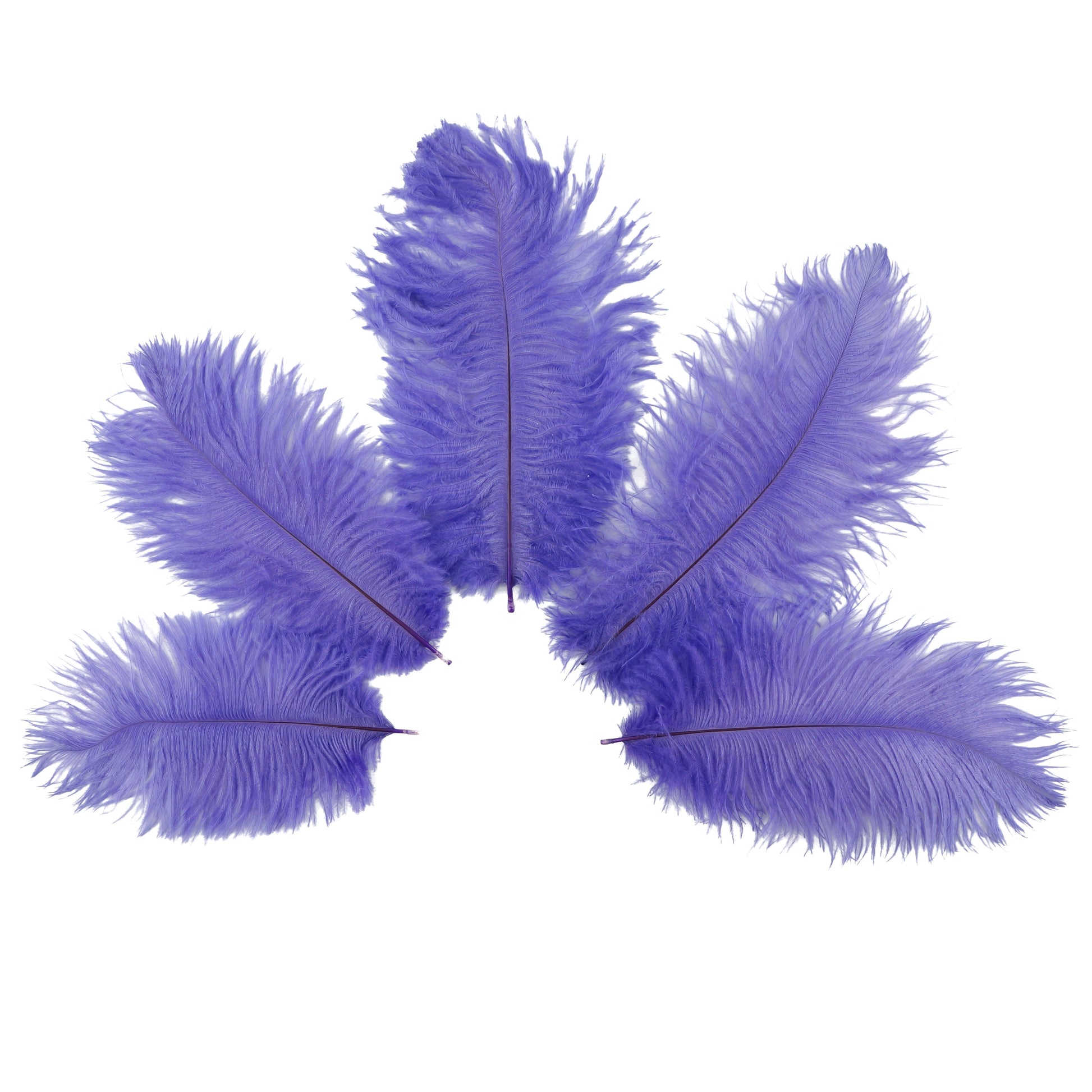 Ostrich Feathers 4-8’’ Drabs - Lavender - 12 pieces - Ostrich Feathers