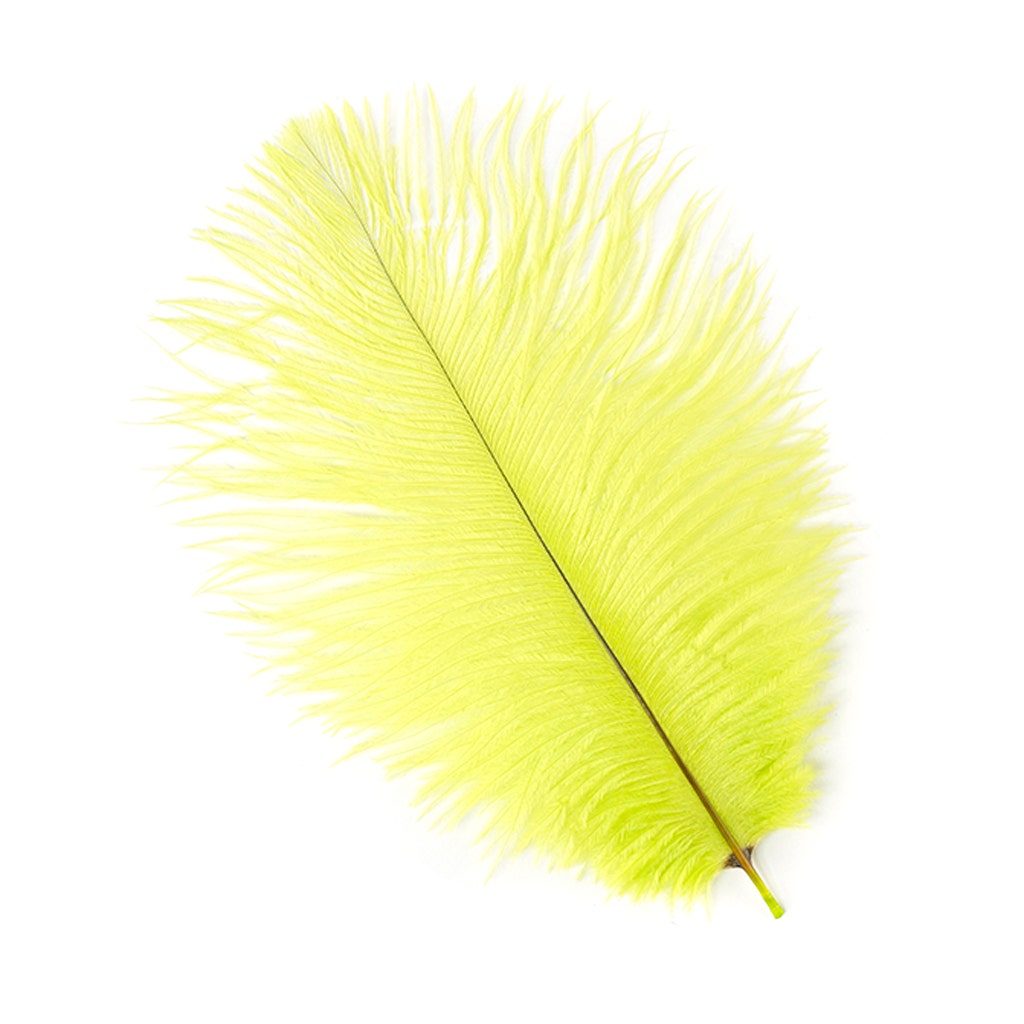 Ostrich Feathers 4-8’’ Drabs - Lime - 2 pieces - Ostrich Feathers