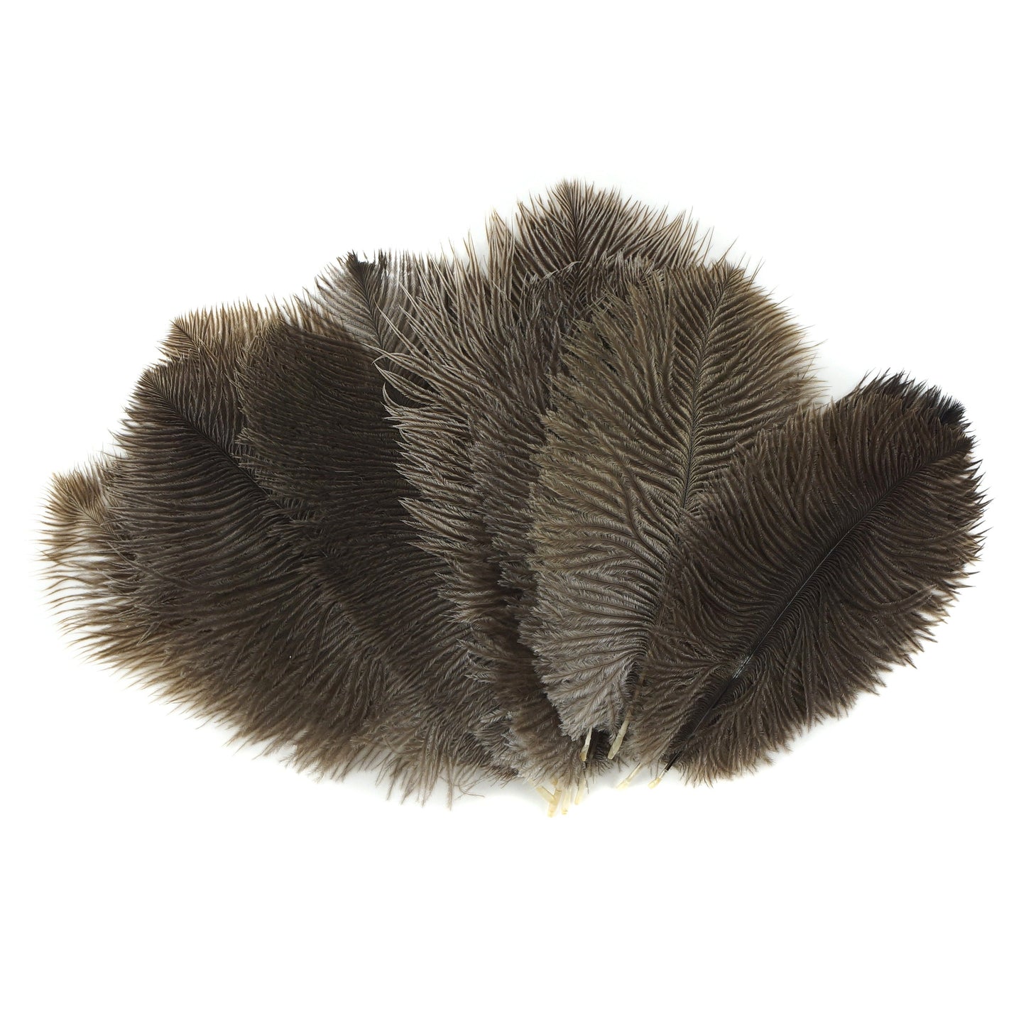 Ostrich Feathers 4-8’’ Drabs - Natural - 1/4 lb. bulk - Ostrich Feathers