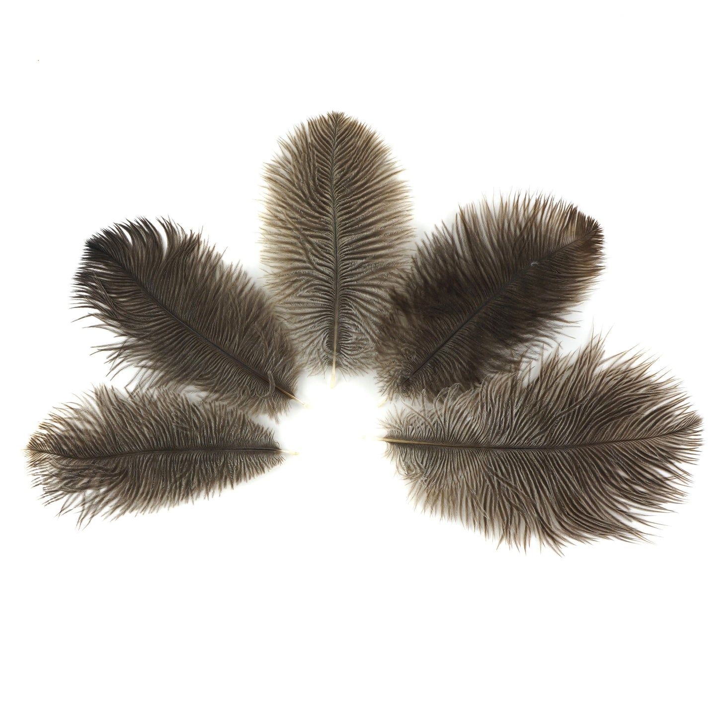 Ostrich Feathers 4-8’’ Drabs - Natural - 12 pieces - Ostrich Feathers