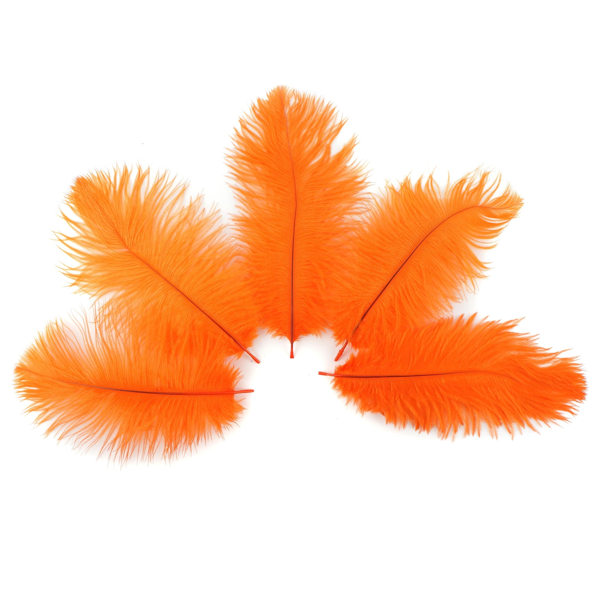 Ostrich Feathers 4-8’’ Drabs - Orange - 12 pieces - Ostrich Feathers