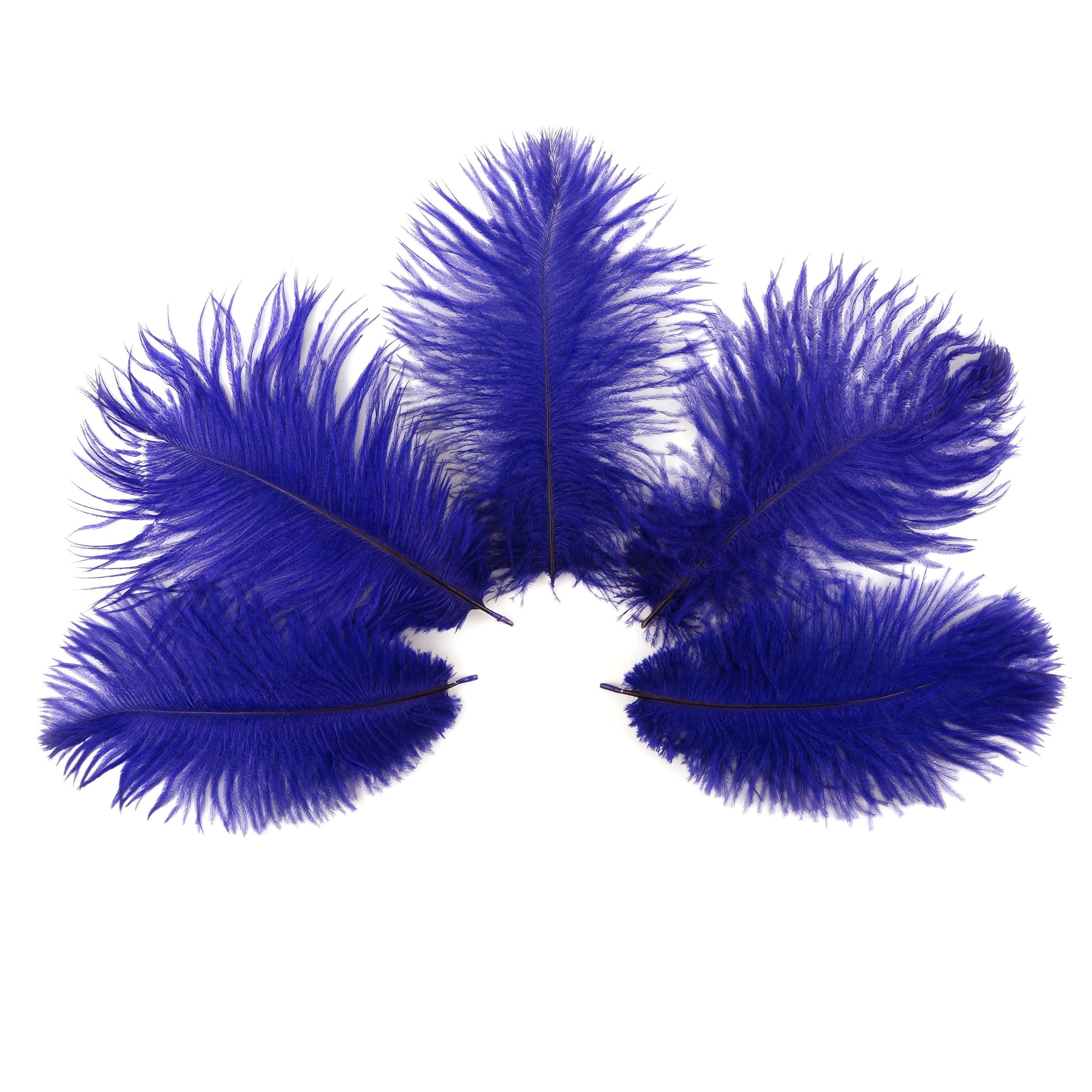 Ostrich Feathers 4-8’’ Drabs - Regal - 12 pieces - Ostrich Feathers