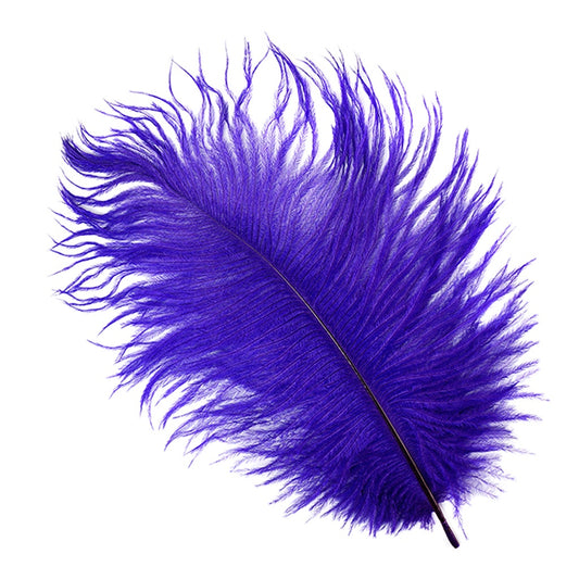 Ostrich Feathers 4-8’’ Drabs - Regal - 2 pieces - Ostrich Feathers