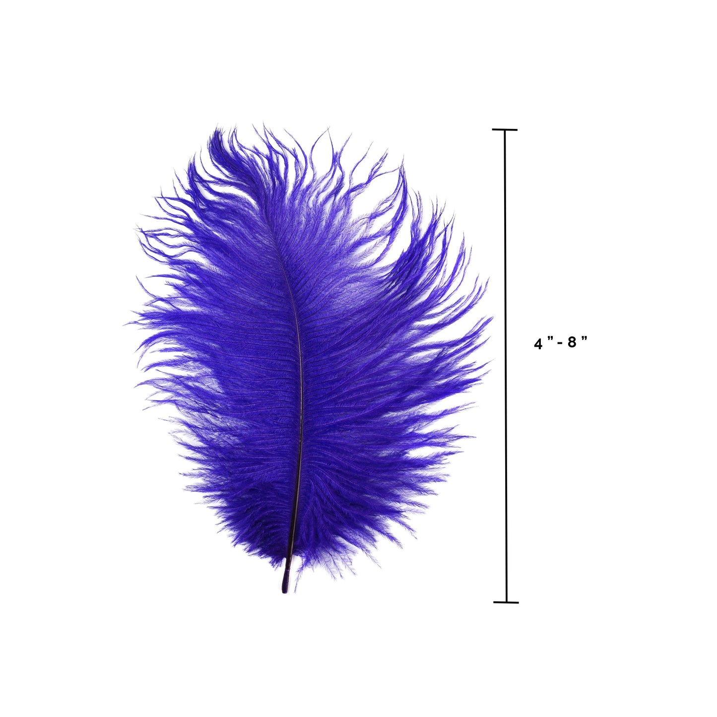 Ostrich Feathers 4-8’’ Drabs - Regal - Ostrich Feathers