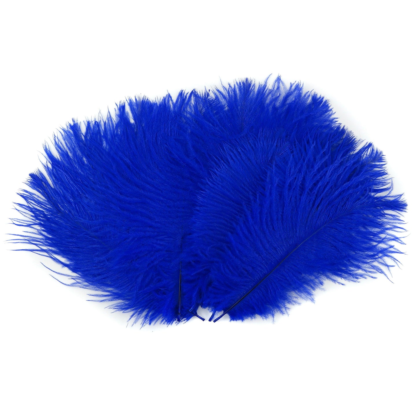 Ostrich Feathers 4-8’’ Drabs - Royal - 1/4 lb. bulk - Ostrich Feathers