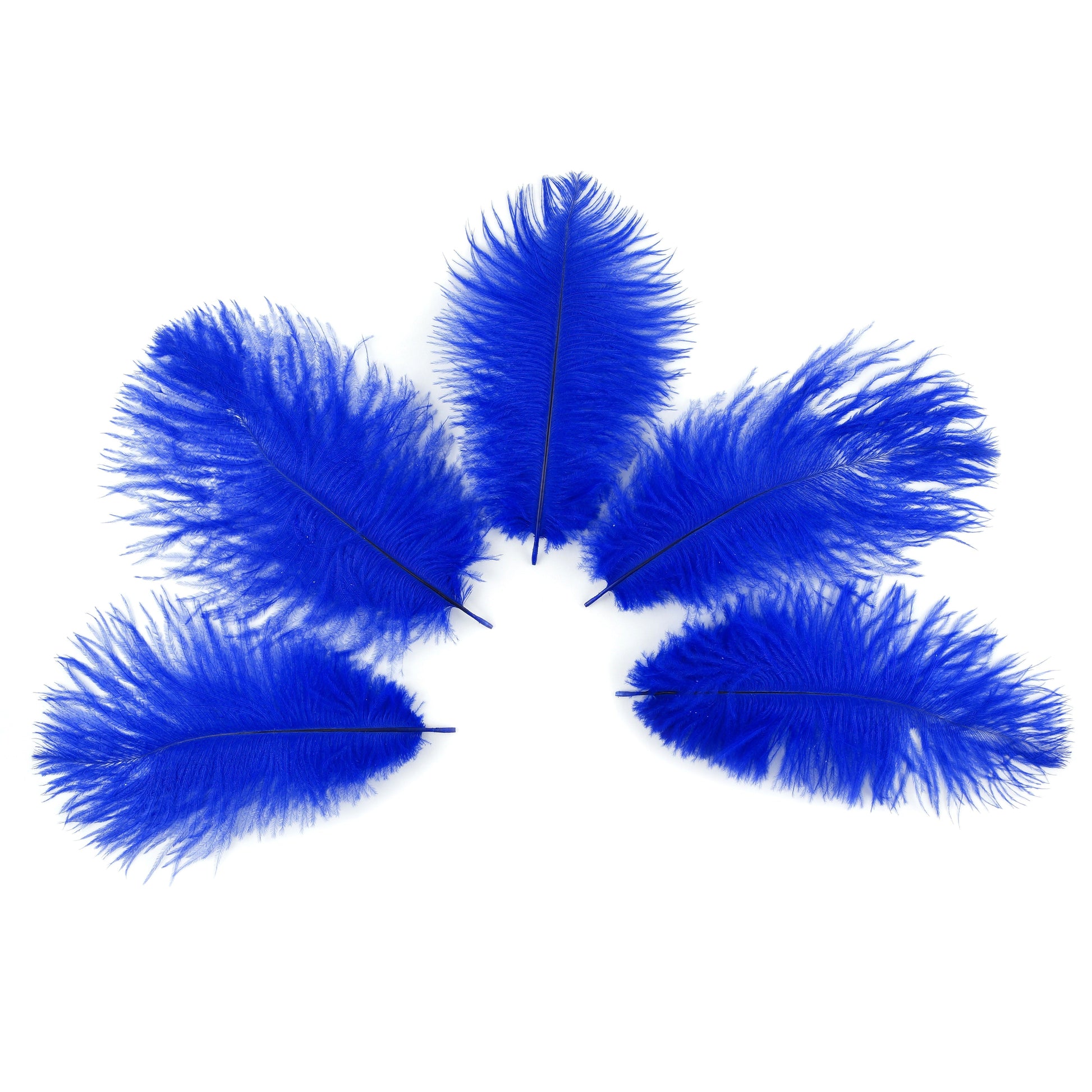 Ostrich Feathers 4-8’’ Drabs - Royal - 12 pieces - Ostrich Feathers