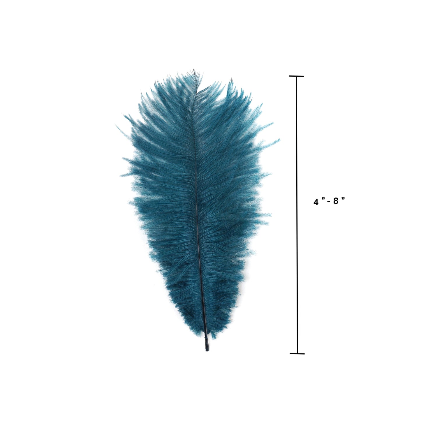 Ostrich Feathers 4-8’’ Drabs - Teal - Ostrich Feathers