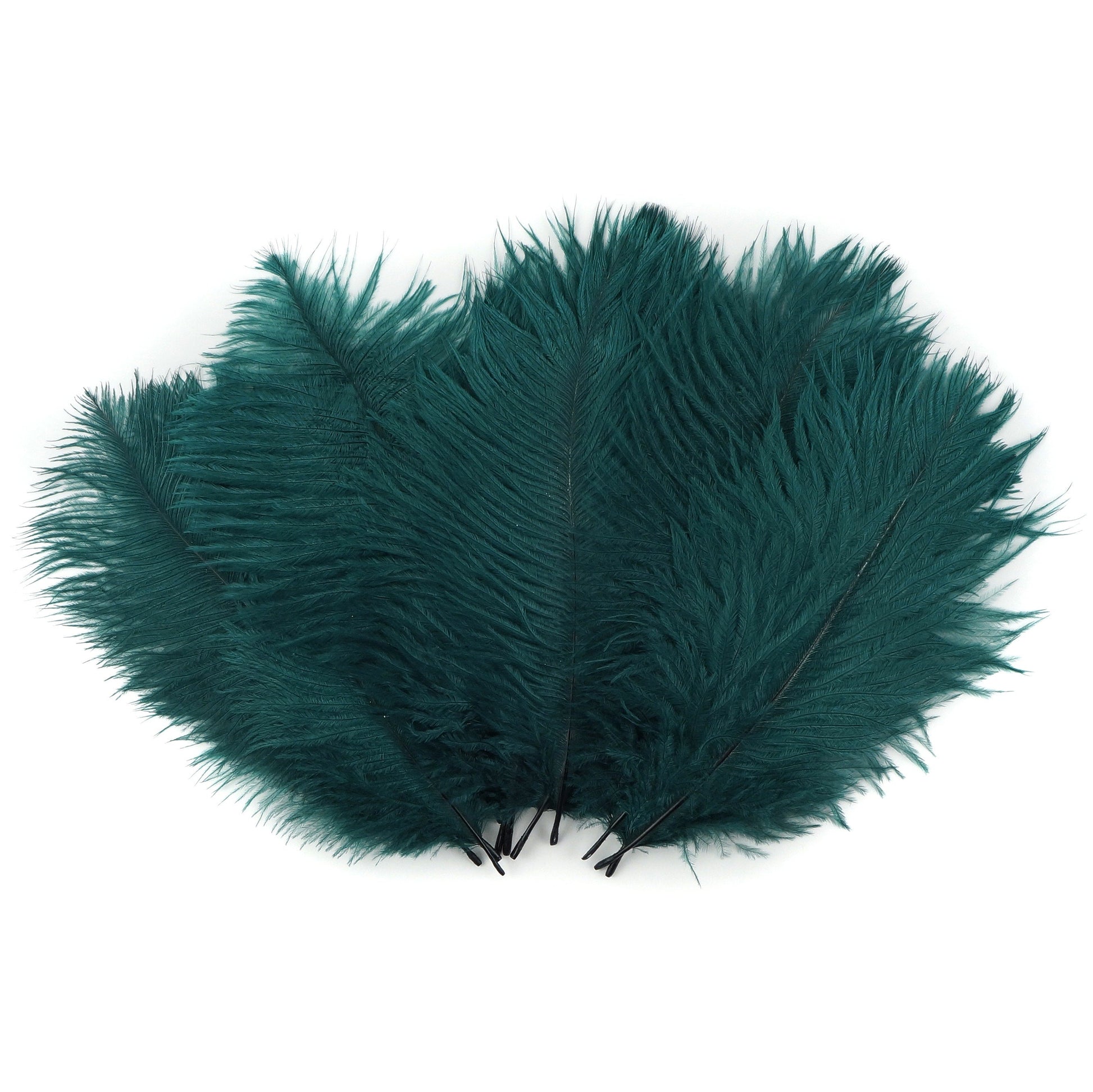 Ostrich Feathers 4-8’’ Drabs - Teal - Ostrich Feathers