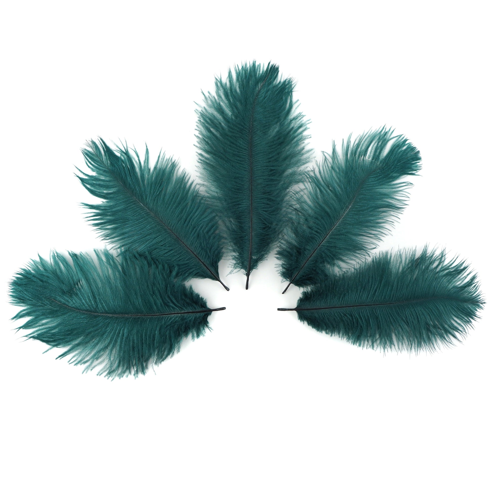 Ostrich Feathers 4-8’’ Drabs - Teal - Ostrich Feathers