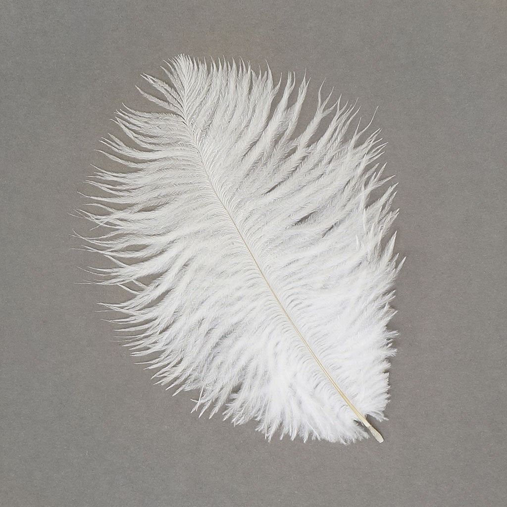 Ostrich Feathers 4-8’’ Drabs - White - Ostrich Feathers