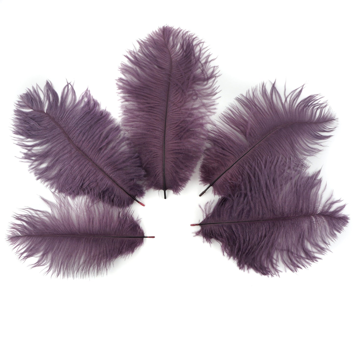 Ostrich Feathers 9-12’’ Drabs - Amethyst - 12 pieces - Ostrich Feathers