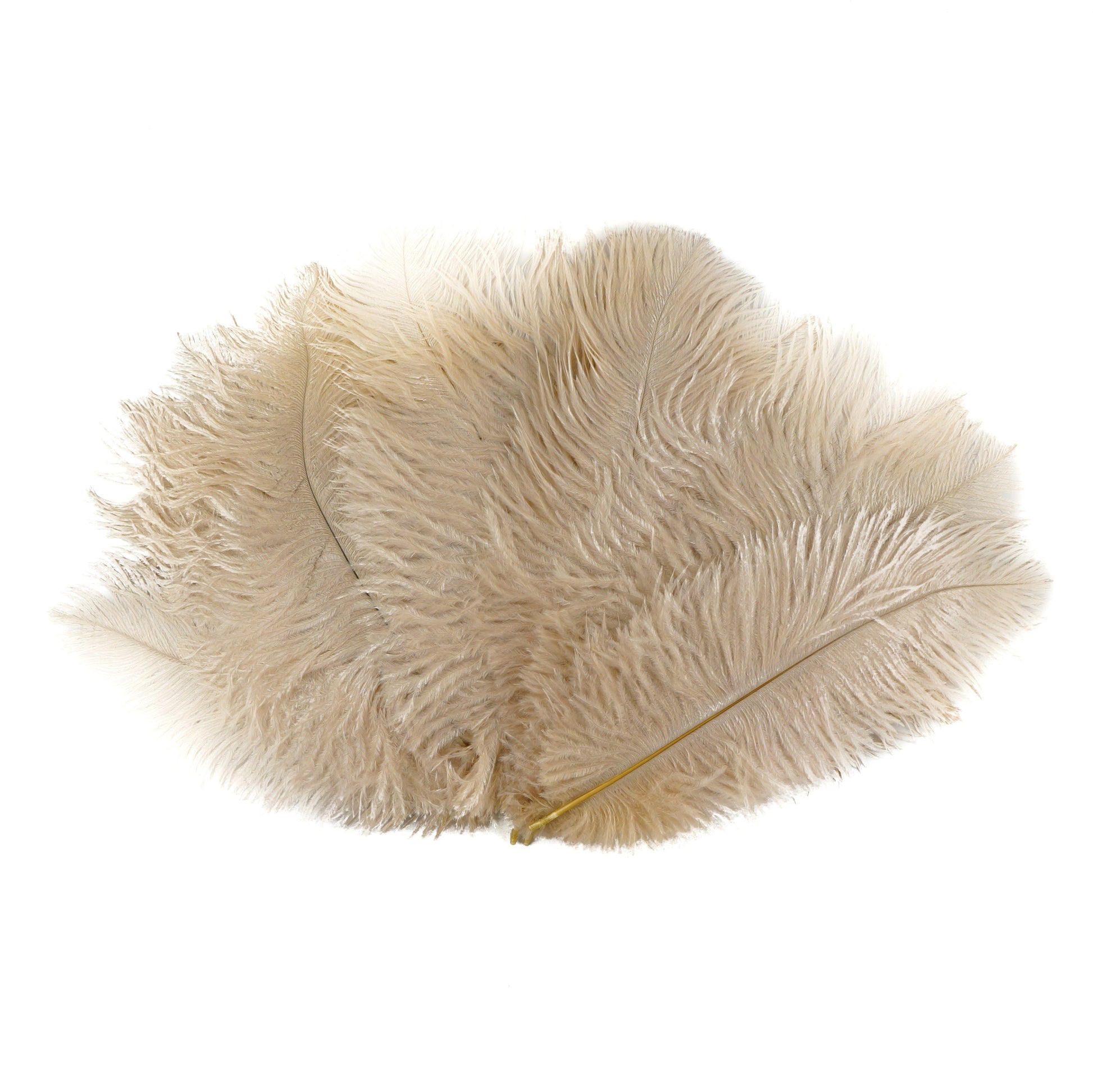 Ostrich Feathers 9-12’’ Drabs - Beige - 1/4 lb. bulk - Ostrich Feathers