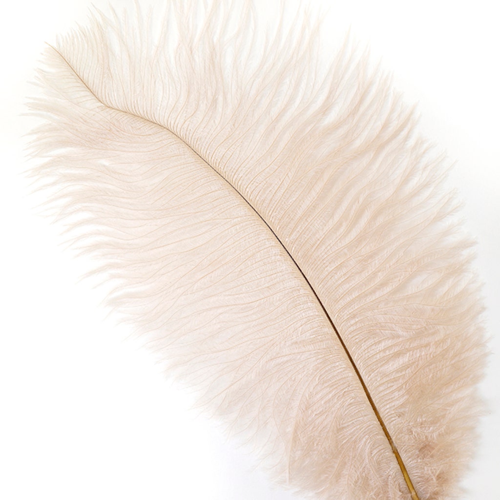 Ostrich Feathers 9-12’’ Drabs - Beige - 1 piece - Ostrich Feathers