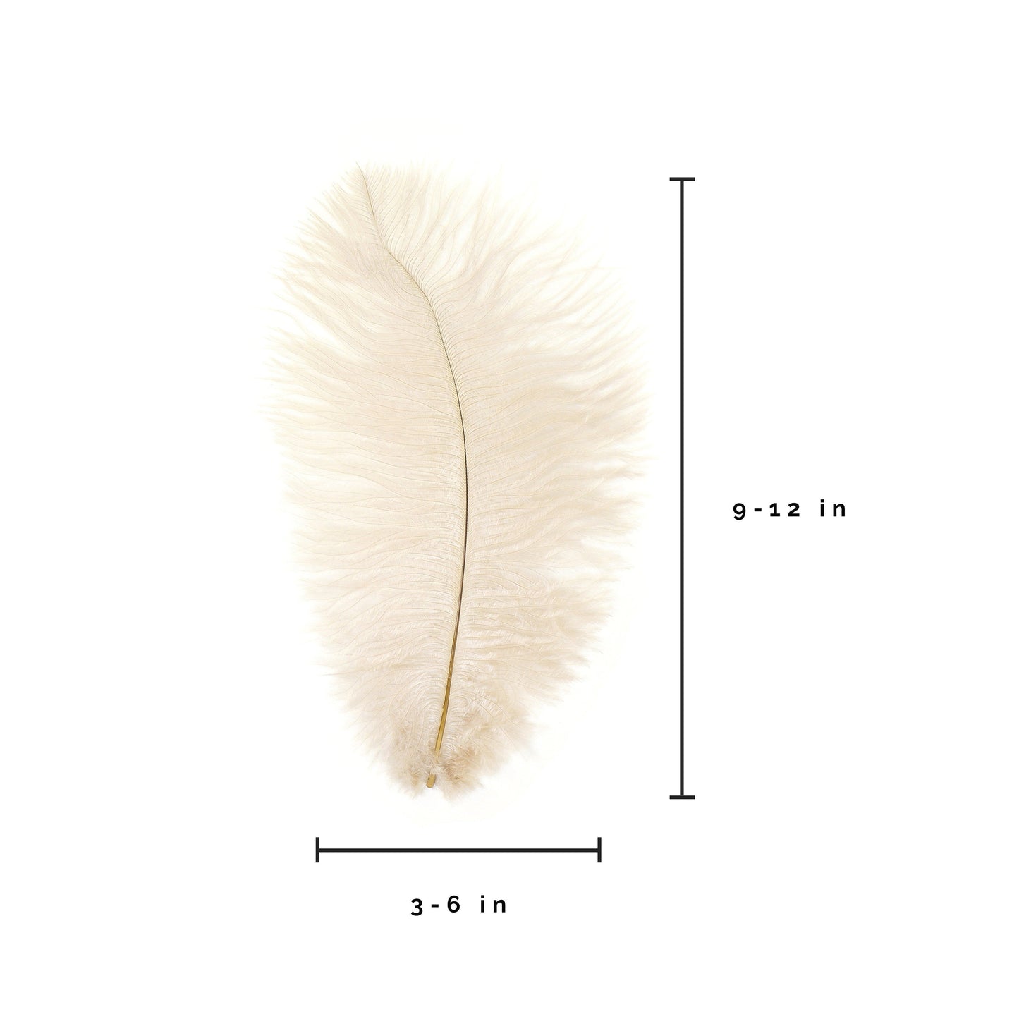 Ostrich Feathers 9-12’’ Drabs - Beige - Ostrich Feathers