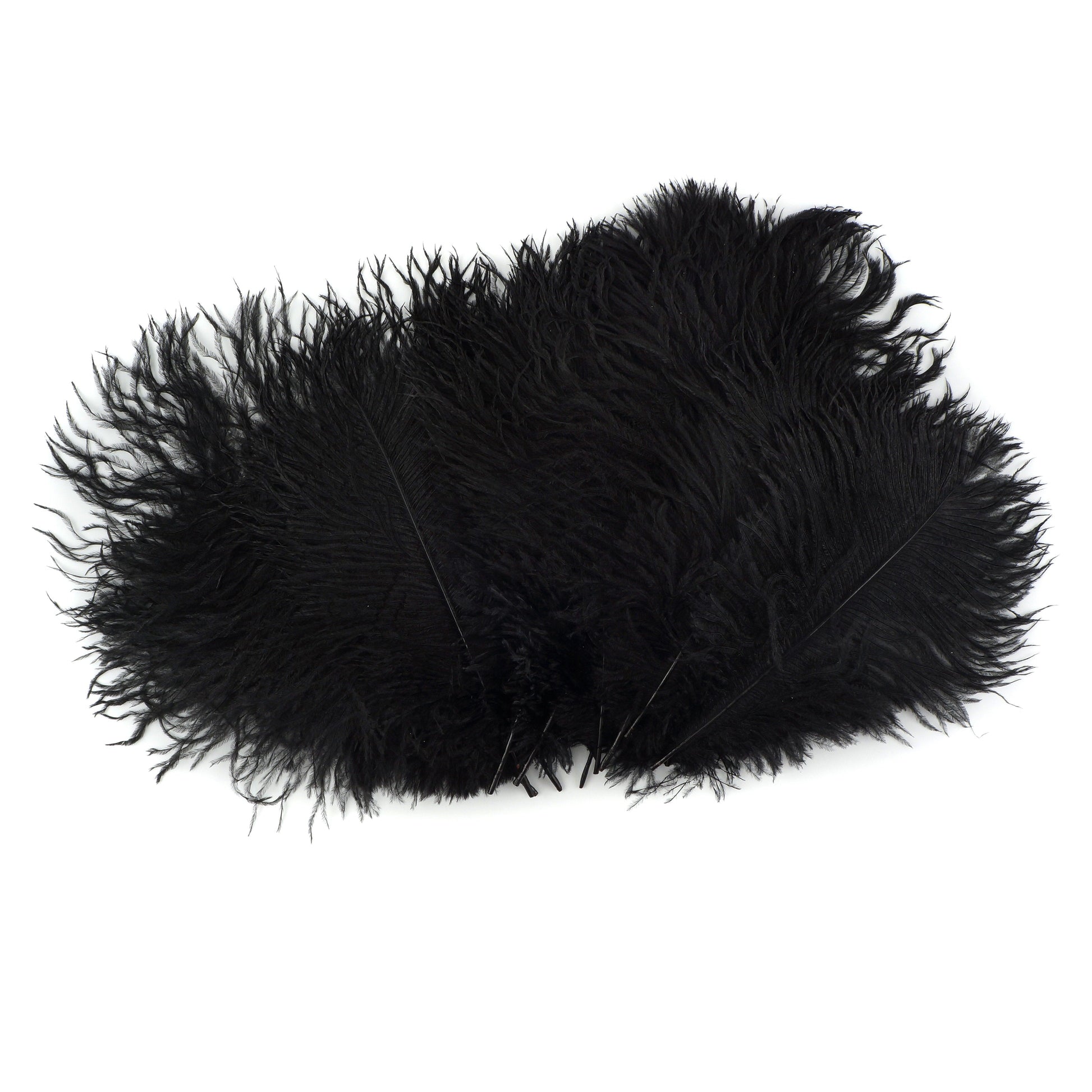 Ostrich Feathers 9-12’’ Drabs - Black - 1/4 lb. bulk - Ostrich Feathers