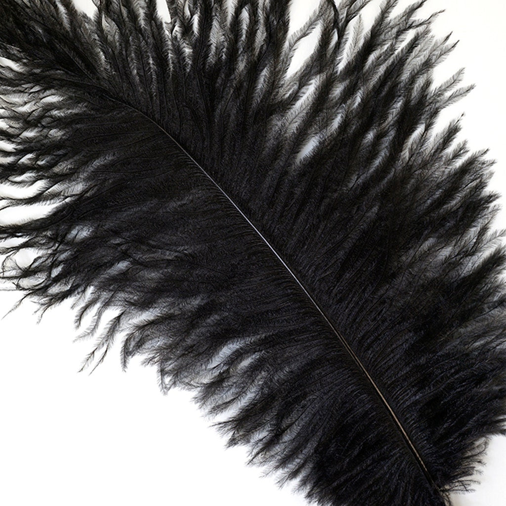 Ostrich Feathers 9-12’’ Drabs - Black - 1 piece - Ostrich Feathers