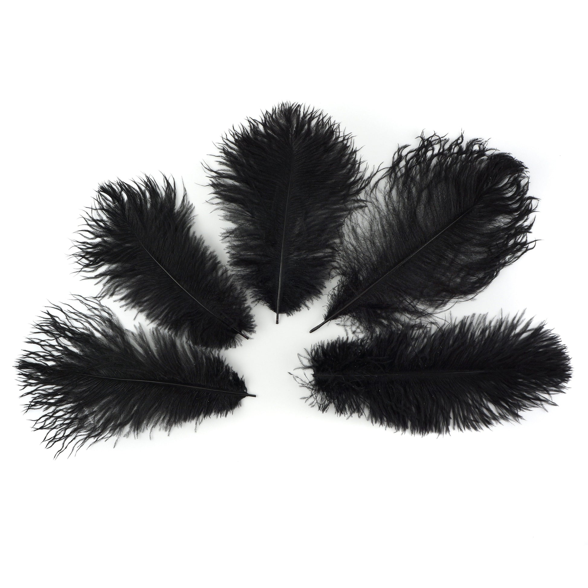 Ostrich Feathers 9-12’’ Drabs - Black - 12 pieces - Ostrich Feathers