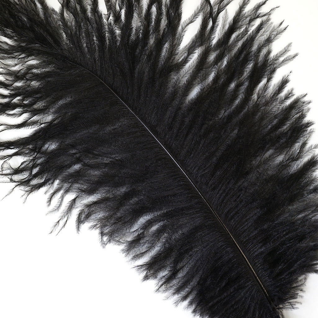 Ostrich Feathers 9-12’’ Drabs - Black - Ostrich Feathers