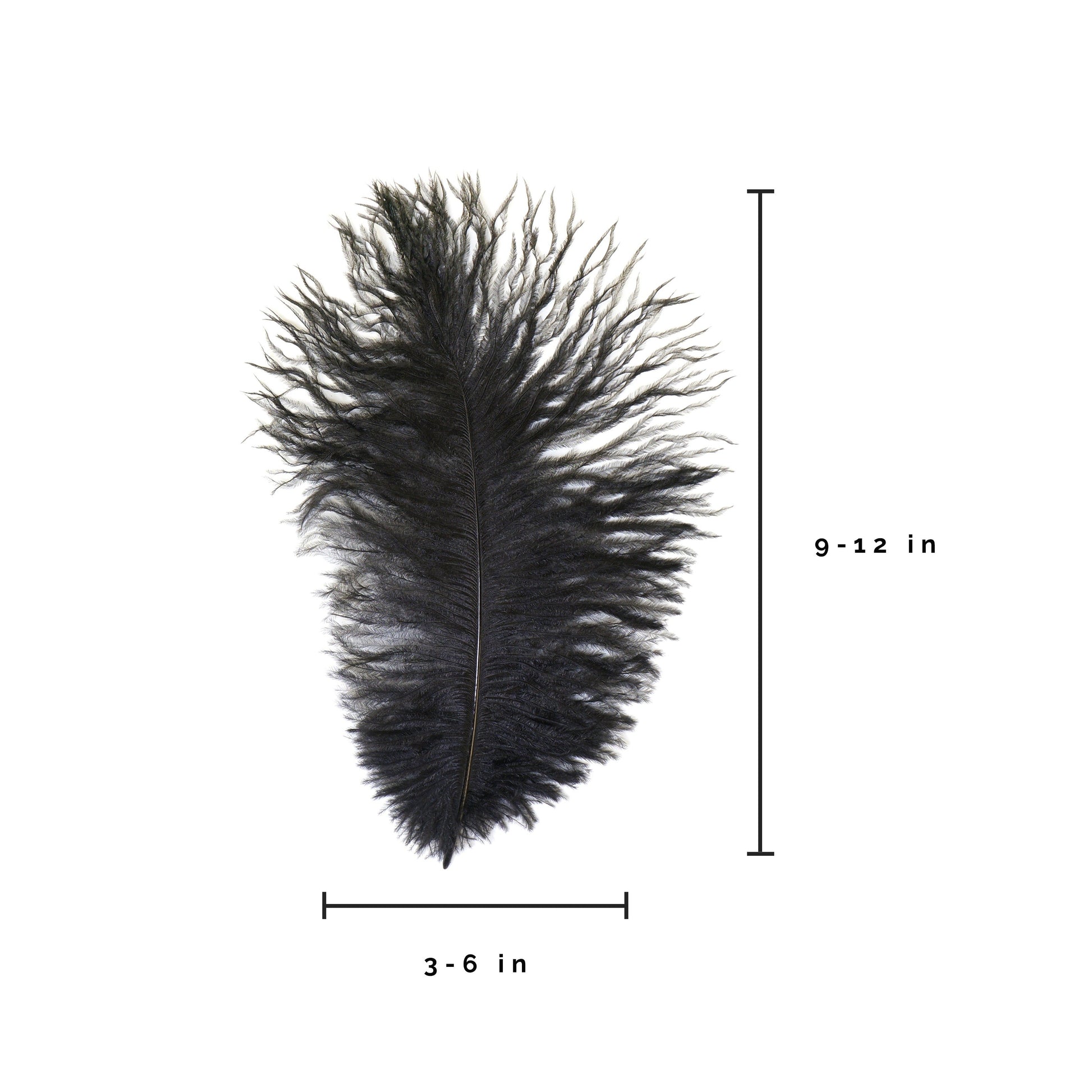 Ostrich Feathers 9-12’’ Drabs - Black - Ostrich Feathers