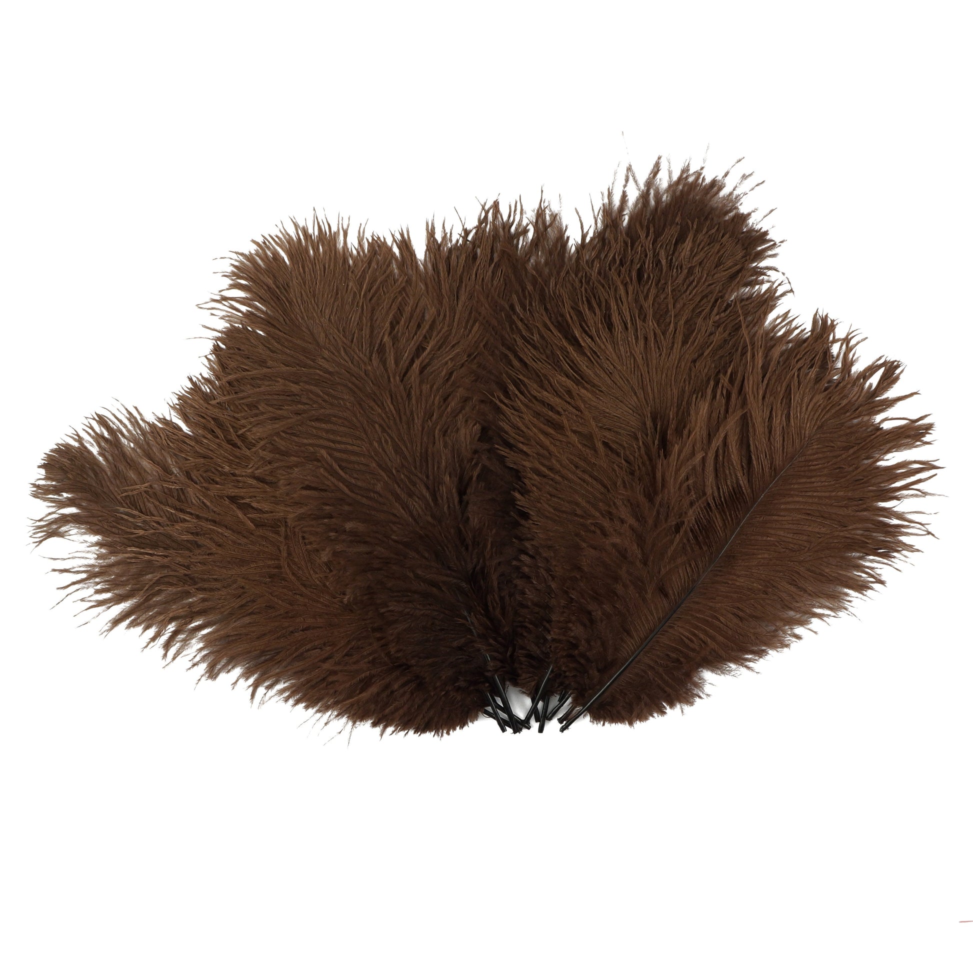 Ostrich Feathers 9-12’’ Drabs - Brown - 1/4 lb. bulk - Ostrich Feathers