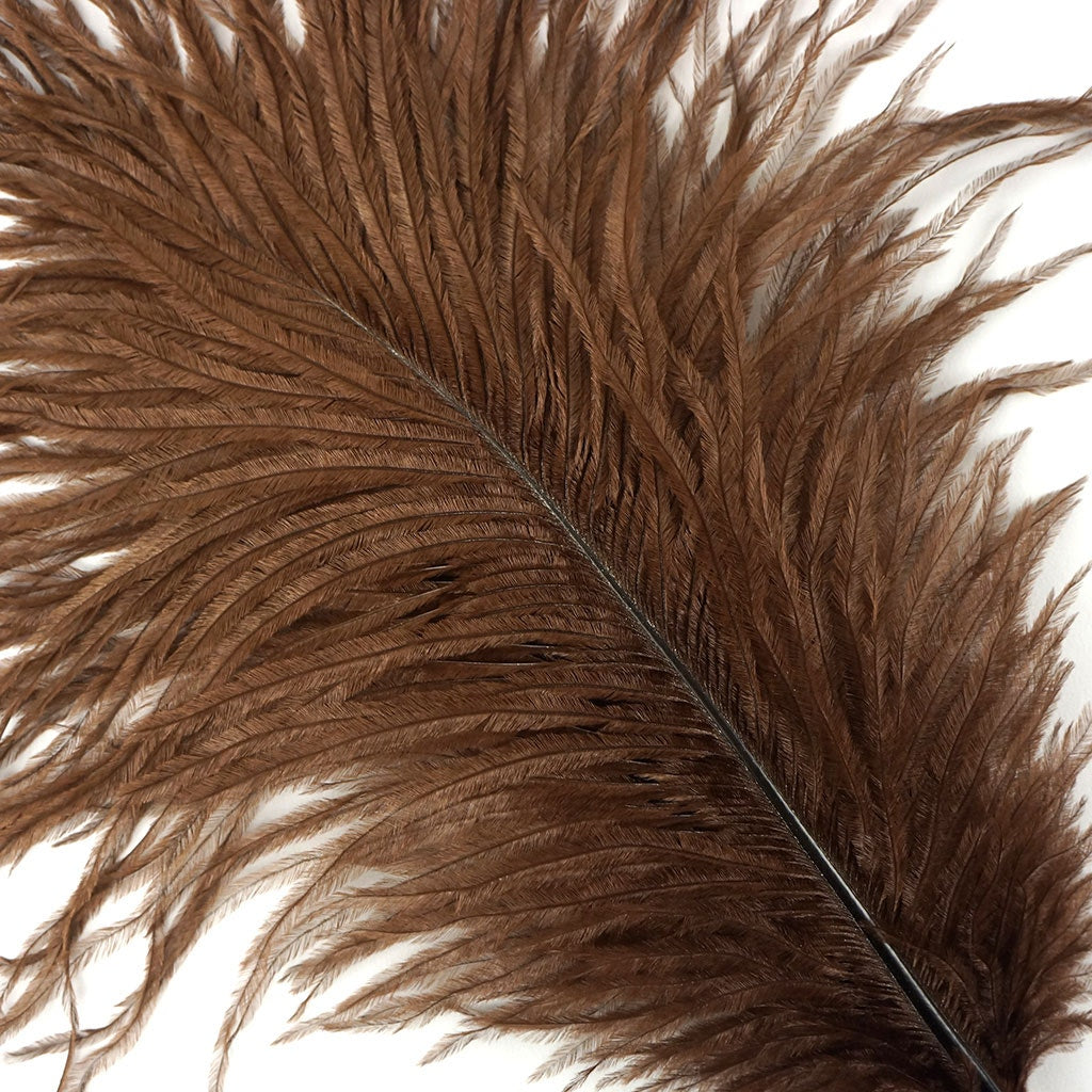 Ostrich Feathers 9-12’’ Drabs - Brown - 1 piece - Ostrich Feathers