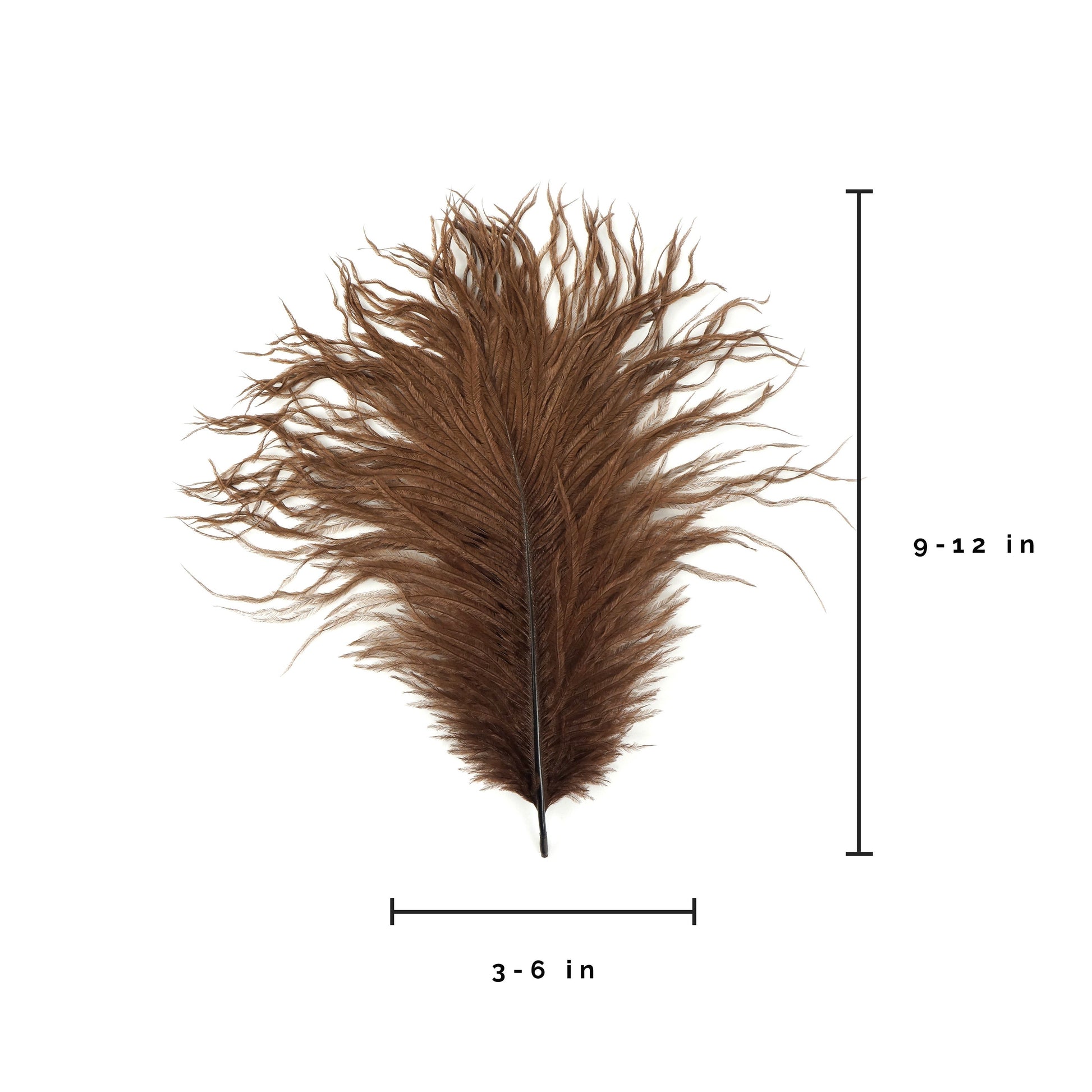 Ostrich Feathers 9-12’’ Drabs - Brown - Ostrich Feathers